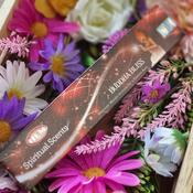 HEM Spiritual Scents - Buddha Bliss Incense image