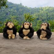 Three Wise Chimps
