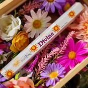 Stamford - Divine Incense image