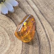 Amber with Insect Specimen #1