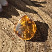 Amber with Insect Specimen #2