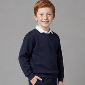 Navy Sweatshirt (2601) image
