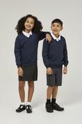 Navy Trutex V-Neck School Sweatshirt – Durable Low Pill Uniform Jumper (Unisex) image