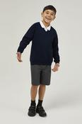Ink Blue Trutex V-Neck School Sweatshirt – Durable Low Pill Uniform Jumper (Unisex)  image