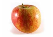 Organic Apple Elstar image