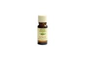 Atlantic Aromatics Organic Tea Tree (10ml) image