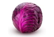 Red Cabbage, Organic image