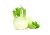Fennel, Organic, image