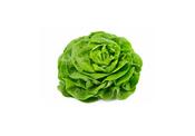 Butterhead Lettuce, Organic image