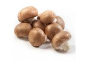 Chestnut Mushrooms, Organic, 100g image