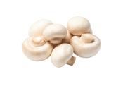White Mushroom, Organic, 100g image
