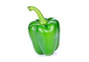 Green Pepper, Organic image