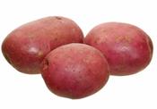Organic Red Potato (500g)