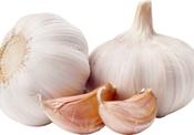 Organic Garlic 100G image