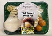 Garryhinch Wood Irish Organic Exotic Mushrooms - 150g image