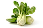 Organic Pak Choi