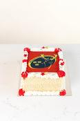 Munster Rugby image