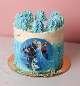 Frozen Cake - NEW