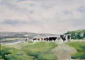 The Burren Winterage Path