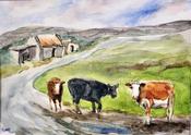 The Burren Winterage
