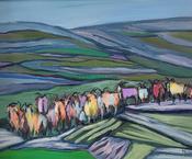 Burren Goats in Ballyvaughan, Burren, Co.Clare