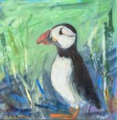 Puffin