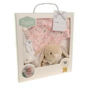 Ziggle, Gift set: Bib Rattle Washcloth Bunnies image
