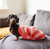 Dock and Bay, Dog Towel - Medium - Coral image