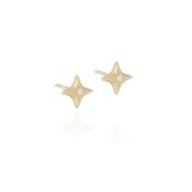Rian Stud Earrings image