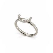 White Gold Additional Diamond Ring image