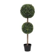 Boxwood Double ball tree 3FT (Sold in 2s) image