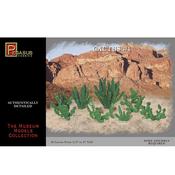 Pegasus Cactus Plants (Set of 18)