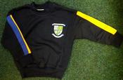 Ballinkillen N.S Track Top image