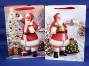 Christmas Bag Santa