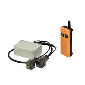 Wireless Remote Pendant, Double Acting, 2 Button, 12/24V