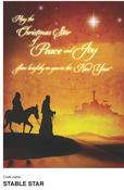 Stable Star Christmas Mass Bouquet