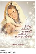 Stable Baby Christmas Mass Bouquet