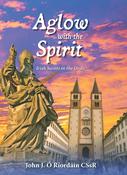 Aglow with the Spirit, Irish Saints in the Ordo.