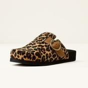 Ariat Women's Country Mule in Leopard Hair On image