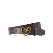 Ariat The Shield Belt in Cocoa image
