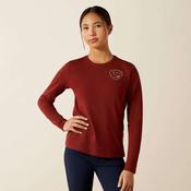 Ariat Kids Icons T-Shirt in Madder Brown image