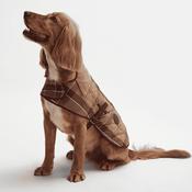 Barbour Dog Coat in Muted Cabernet image