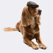 Barbour Dog Wax Flat Cap in Olive image