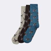 Barbour Pointer Dog Sock Gift Box in Bluestone image