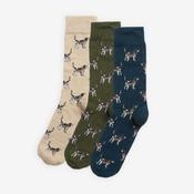 Barbour Pointer Dog Socks Gift Box in Forest Mist image