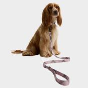 Barbour Printed Dog Lead in Pink Tartan image