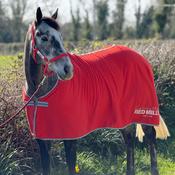 Red Mills Horse Fleece Cooler in Red image