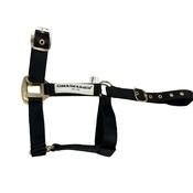Carr &amp; Day &amp; Martin Horse Headcollar in Black