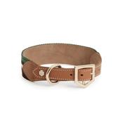 Fairfax &amp; Favor Boston Leather Dog Collar in Tan with Striped Webbing image