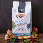 Go Native Chicken with Blueberry &amp; Rosehip Kitten Food image
